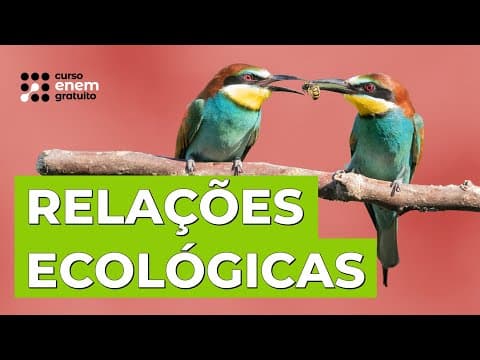 Thumbnail da aula: RELAÇÕES ECOLÓGICAS | Biologia para o Enem | Cláudia de Souza Aguiar