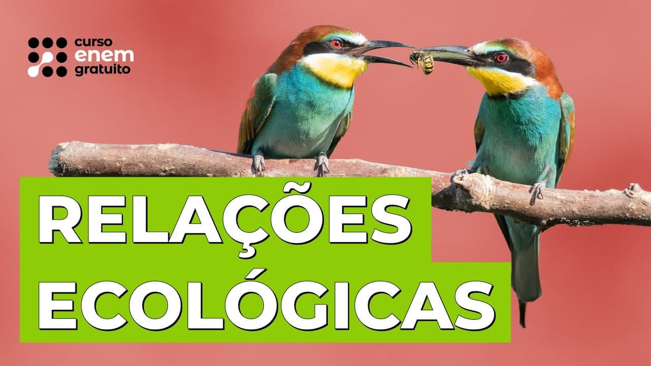 Thumbnail: RELAÇÕES ECOLÓGICAS | Biologia para o Enem | Cláudia de Souza Aguiar