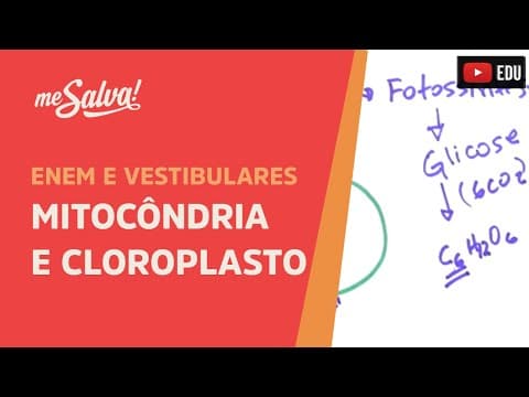 Thumbnail da aula: Me Salva! CIT20 - Citologia - Organelas citoplasmáticas 3 - Mitocôndria e Cloroplasto