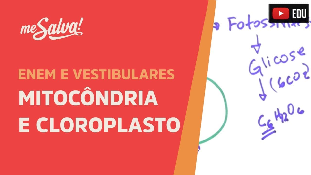 Thumbnail: Me Salva! CIT20 - Citologia - Organelas citoplasmáticas 3 - Mitocôndria e Cloroplasto