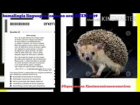 Thumbnail da aula: Questão 22 ENEM 2019 linguagens caderno azul