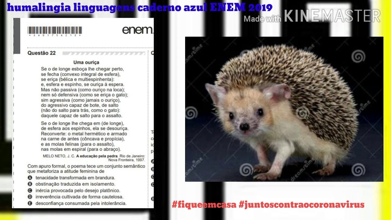 Thumbnail: Questão 22 ENEM 2019 linguagens caderno azul