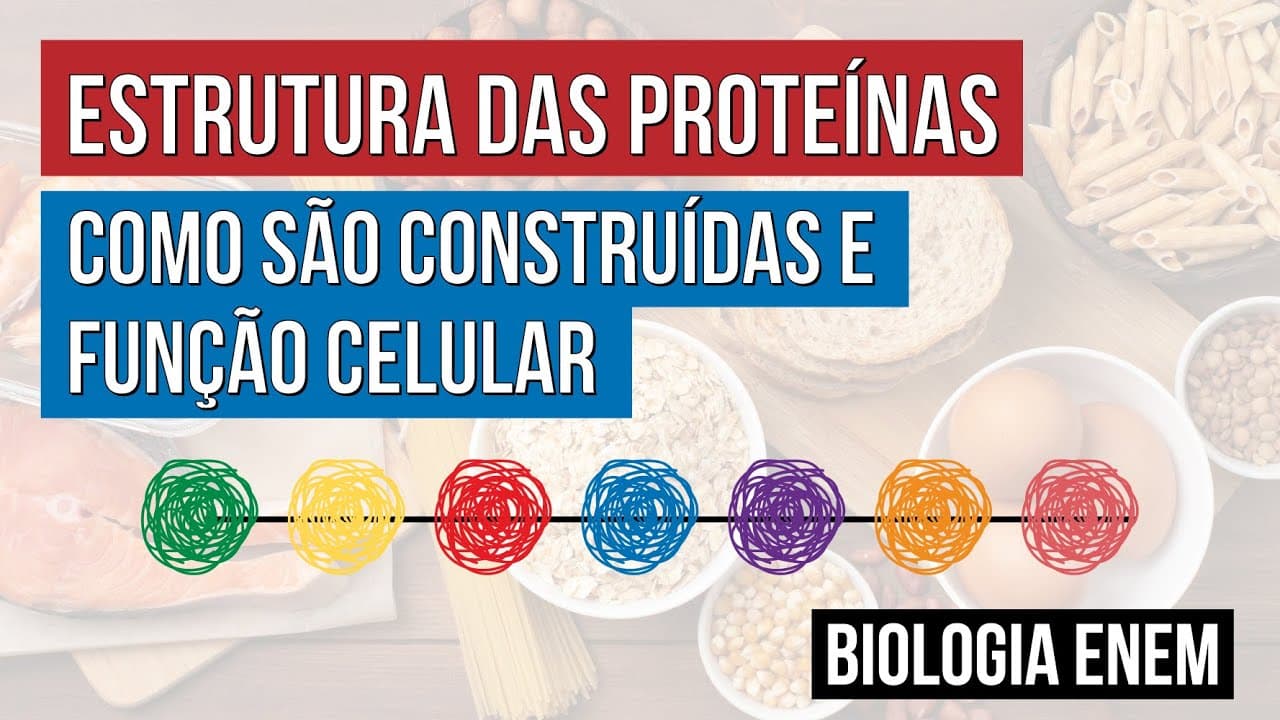 Thumbnail: ESTRUTURA DAS PROTEÍNAS: como são construídas e função celular | Biologia para o Enem | Cláudia