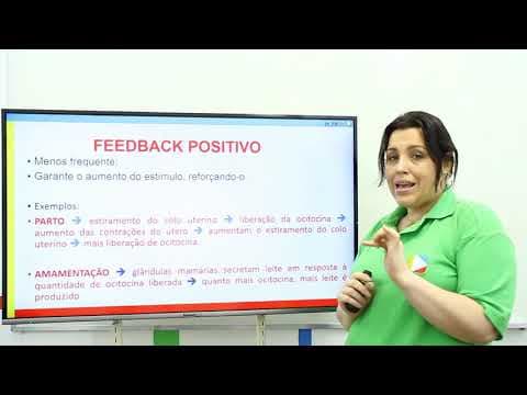 Thumbnail da aula: Biologia - Sistema Endócrino
