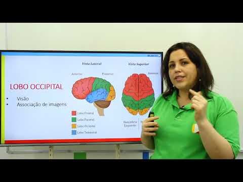 Thumbnail da aula: Biologia - Sistema Nervoso Central: Cérebro