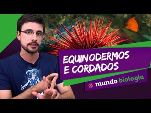 Thumbnail da aula: 🐍 Zoologia (5/6): Equinodermos e Cordados - Biologia - ENEM