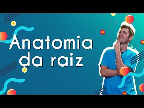 Thumbnail da aula: Anatomia da raiz  - Brasil Escola