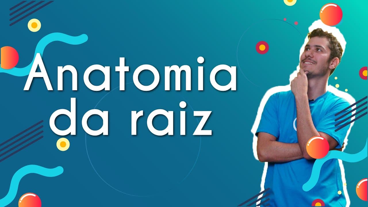 Thumbnail: Anatomia da raiz  - Brasil Escola