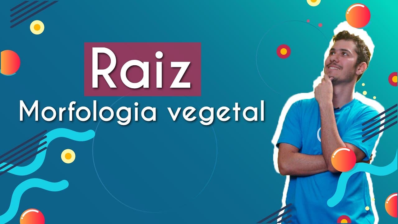 Thumbnail: Morfologia vegetal: Raiz - Brasil Escola