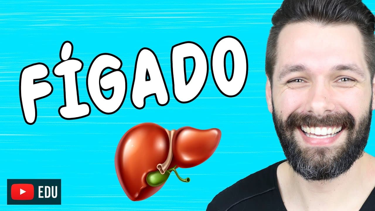 Thumbnail: FÍGADO - Anatomia e Funções - Sistema digestório, endócrino etc. | Biologia com Samuel Cunha