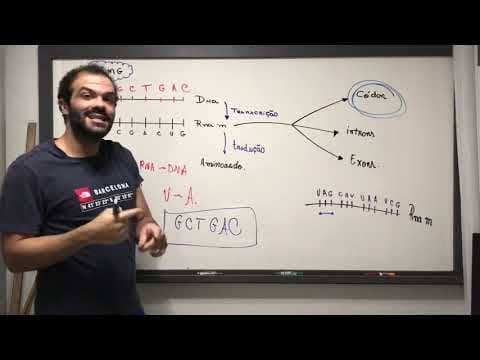 Thumbnail da aula: (UFMG) Transcrição | Tradução | Códons , Introns e Exons