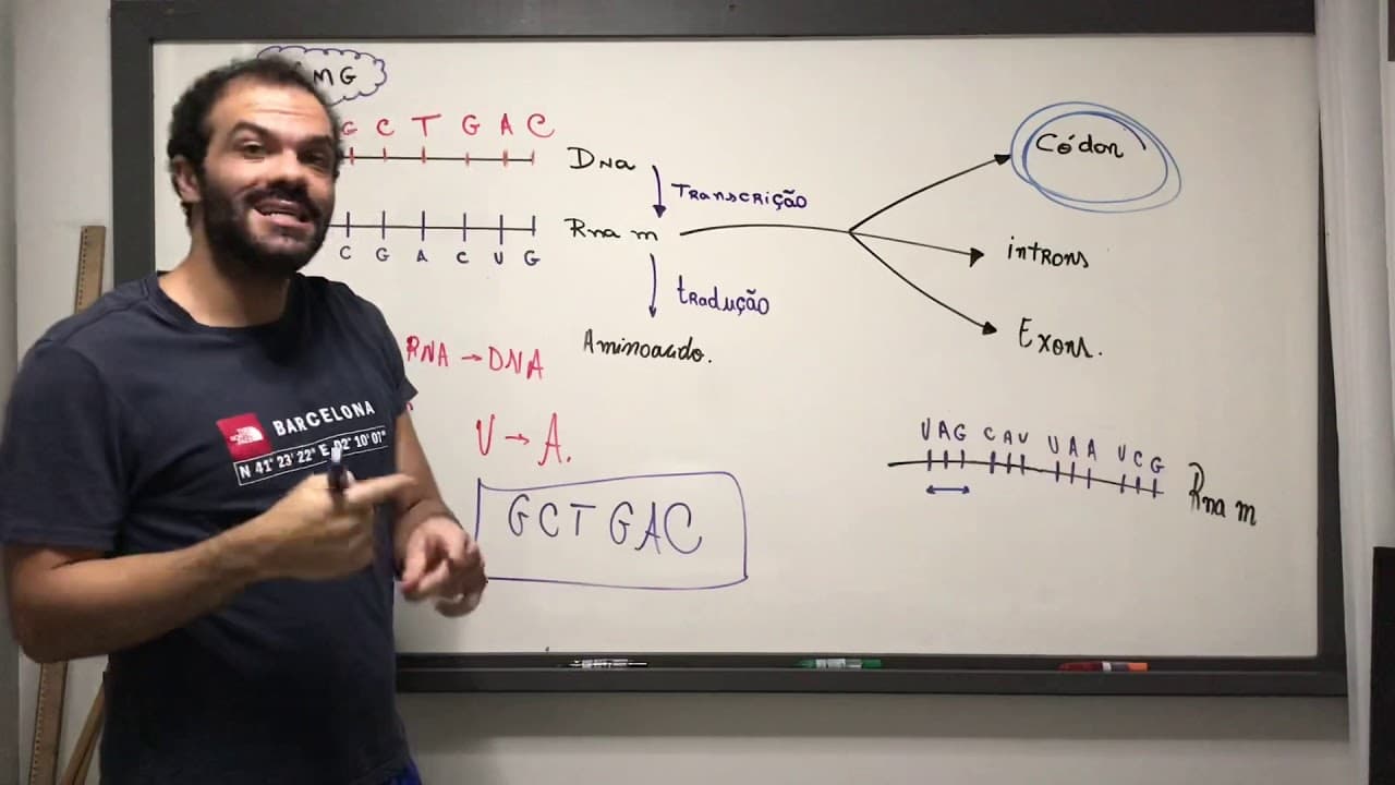 Thumbnail: (UFMG) Transcrição | Tradução | Códons , Introns e Exons