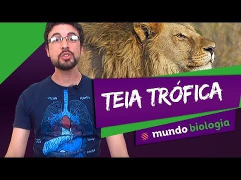 Thumbnail da aula: 🌱 Ecologia (4/7): Teia Trófica - Biologia - ENEM