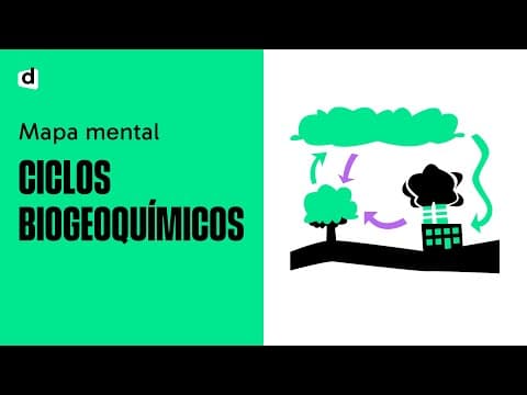 Thumbnail da aula: CICLOS BIOGEOQUÍMICOS  | Biologia | Quer Que Desenhe | Descomplica