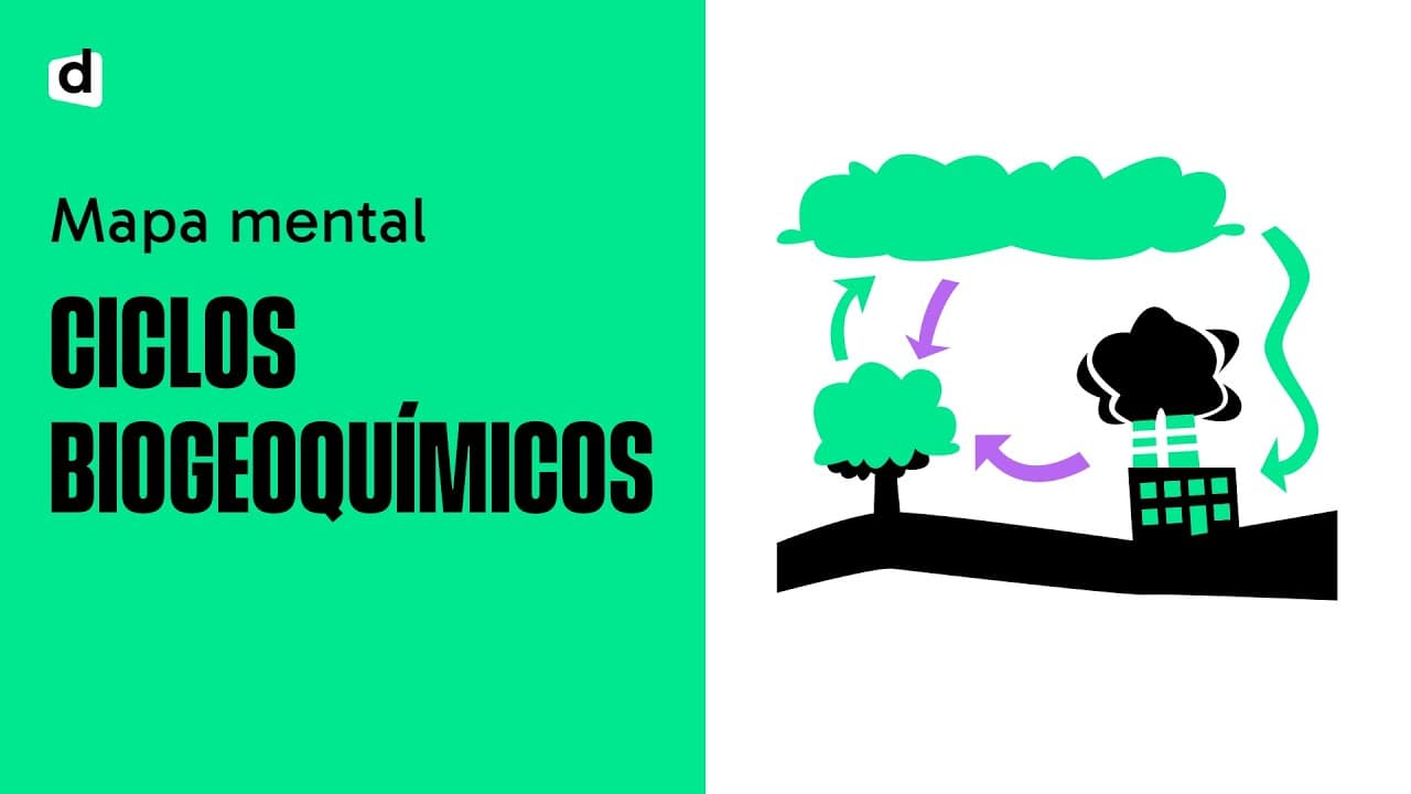 Thumbnail: CICLOS BIOGEOQUÍMICOS  | Biologia | Quer Que Desenhe | Descomplica