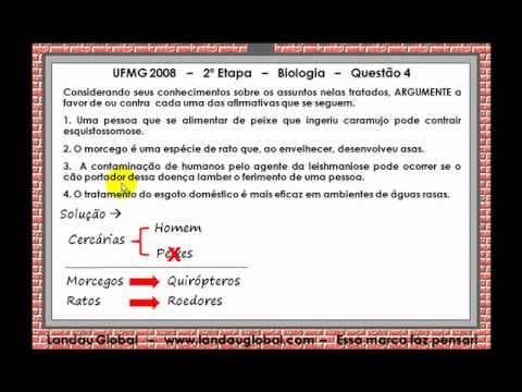 Thumbnail da aula: UFMG_2008_BIO_P2_Q4