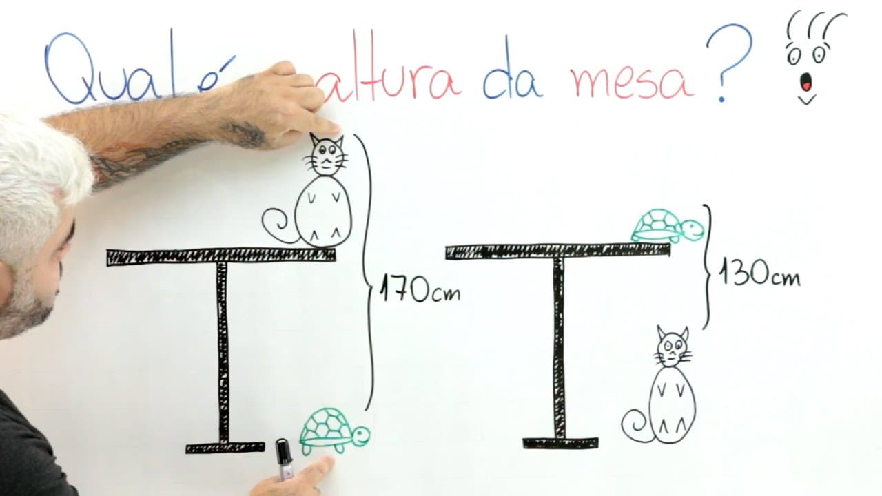 Thumbnail: 😻🐢 QUAL É A ALTURA DA MESA? O problema de Raciocínio Lógico com GATO e TARTARUGA que BUGOU geral!