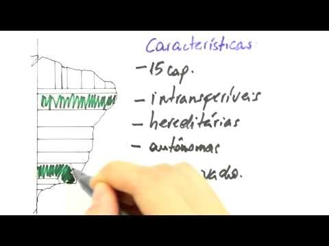 Thumbnail da aula: Me Salva! Extensivo de História - COL02 - Capitanias Hereditárias