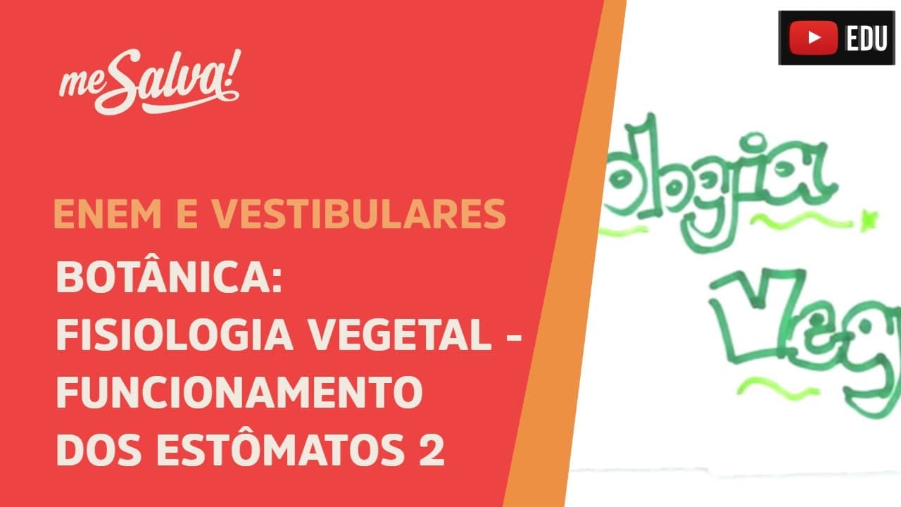 Thumbnail: Me Salva! BOT29 - Botânica - Fisiologia vegetal: funcionamento dos estômatos II