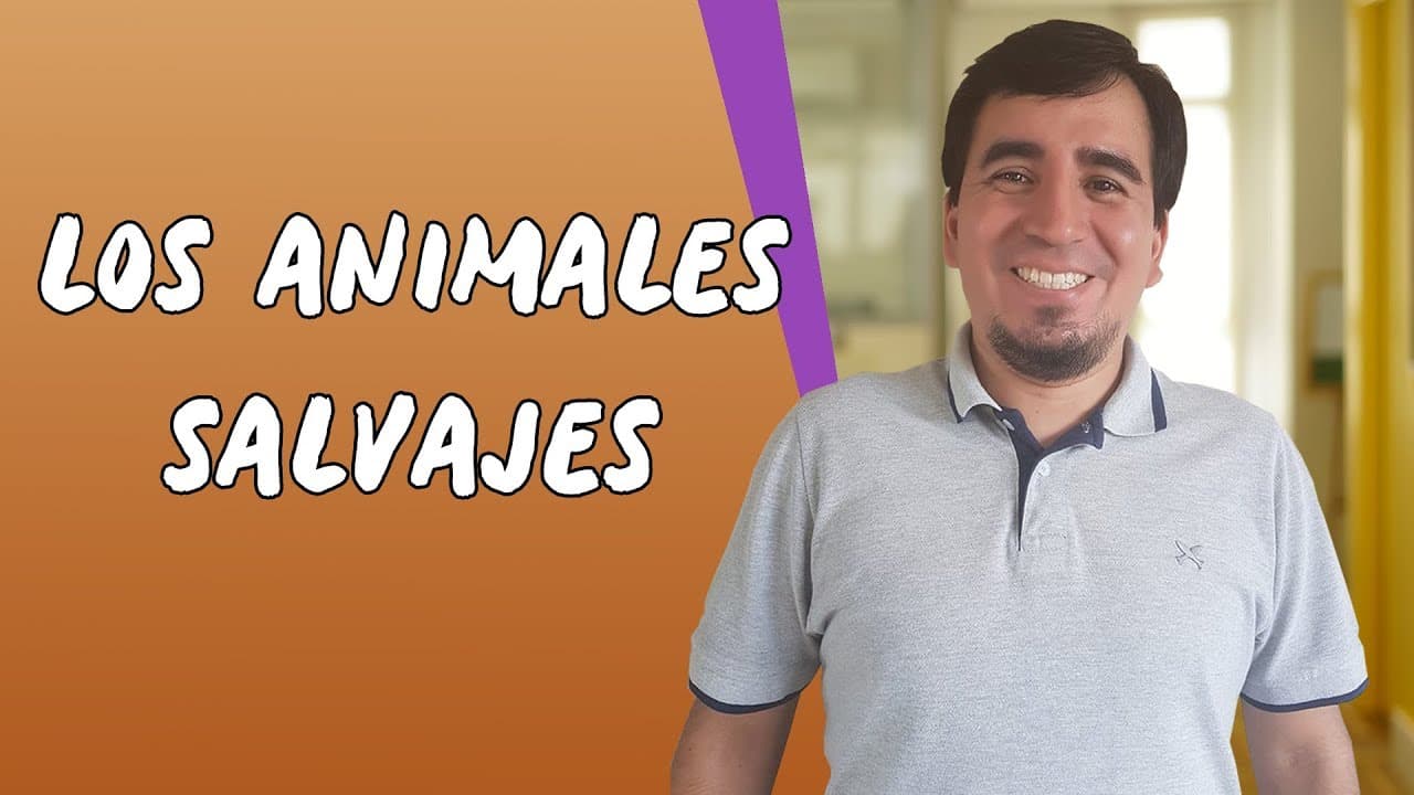 Thumbnail: Los Animales Salvajes - Brasil Escola