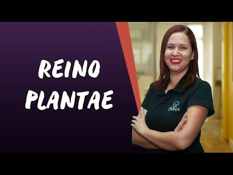 Thumbnail da aula: Reino Plantae - Brasil Escola