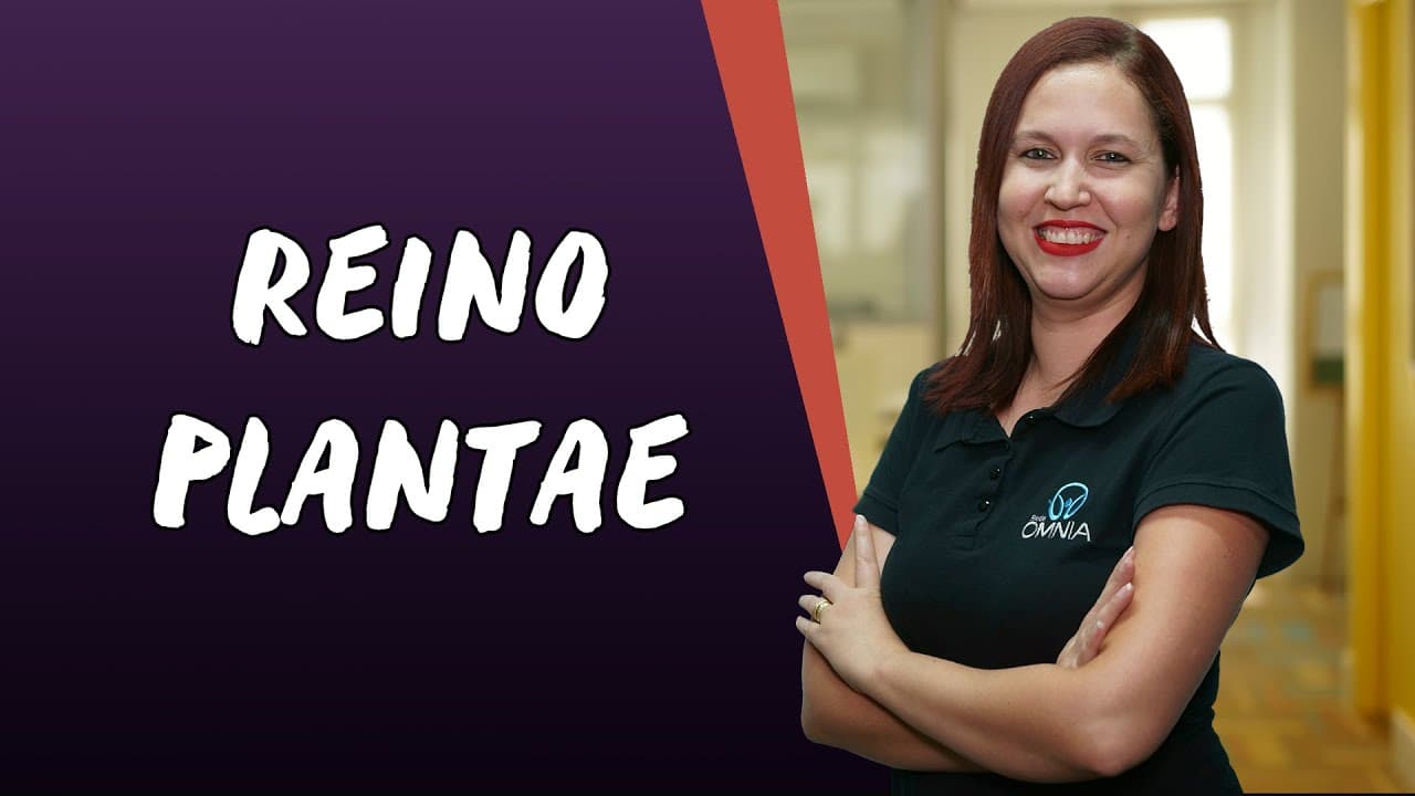 Thumbnail: Reino Plantae - Brasil Escola