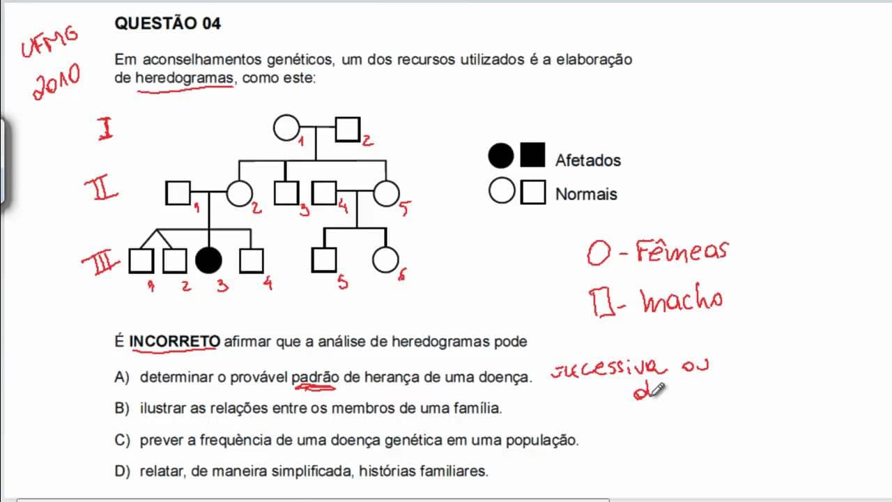 Thumbnail: UFMG2010 04