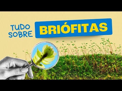 Thumbnail da aula: BRIÓFITAS: A planta que NÃO TEM RAIZ!