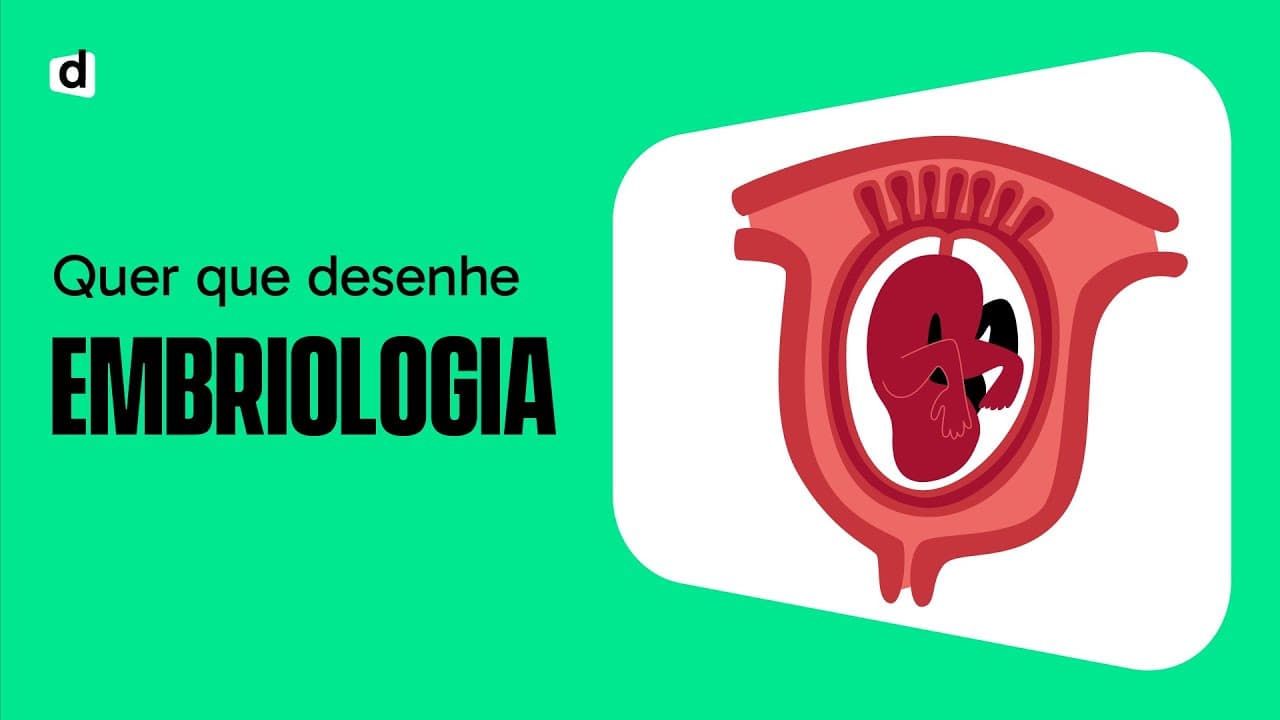 Thumbnail: EMBRIOLOGIA | QUER QUE DESENHE | MAPA MENTAL