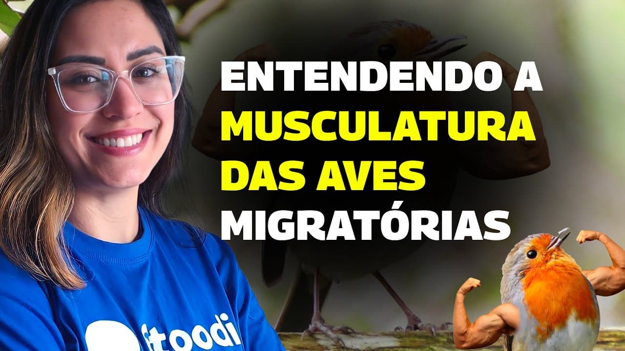 Thumbnail: Musculatura branca? Vermelha? Decifrando a Biologia do #Enem2023