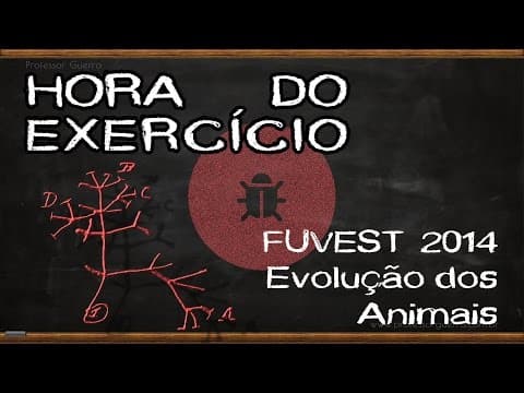 Thumbnail da aula: Evolução dos animais - FUVEST 2014
