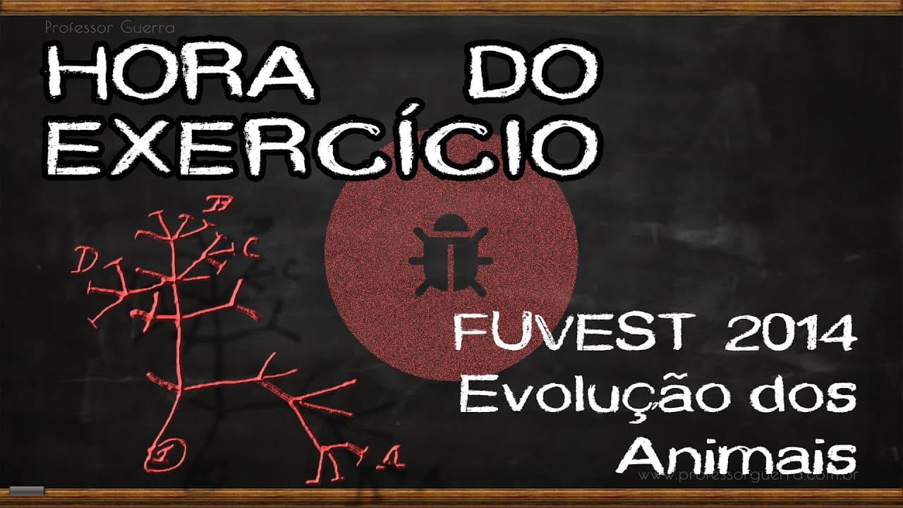 Thumbnail: Evolução dos animais - FUVEST 2014
