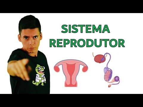 Thumbnail da aula: Sistema Reprodutor - Resumo Professor Gustavo
