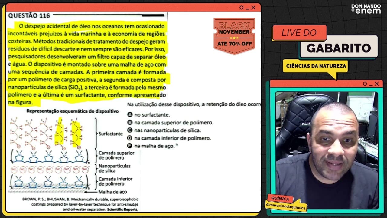 Thumbnail: ENEM 2025: O despejo acidental de óleo nos oceanos tem ocasionado incontáveis prejuízos à vida marin