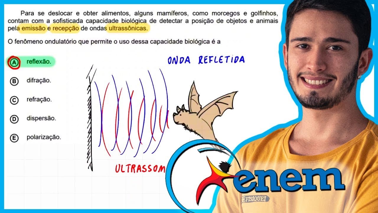 Thumbnail: ENEM 2020 Digital - Para se deslocar e obter alimentos, alguns mamíferos, como morcegos e golfinhos,