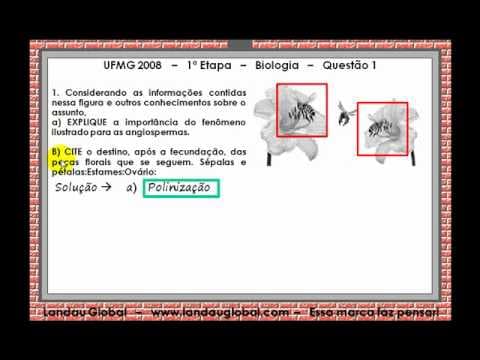 Thumbnail da aula: UFMG_2009_BIO_P2_Q1