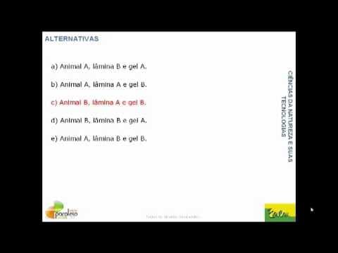 Thumbnail da aula: Questão resolvida e comentada da Prova Amarela do Enem 2010 (Biologia - Questão 90)
