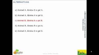 Questão resolvida e comentada da Prova Amarela do Enem 2010 (Biologia - Questão 90)