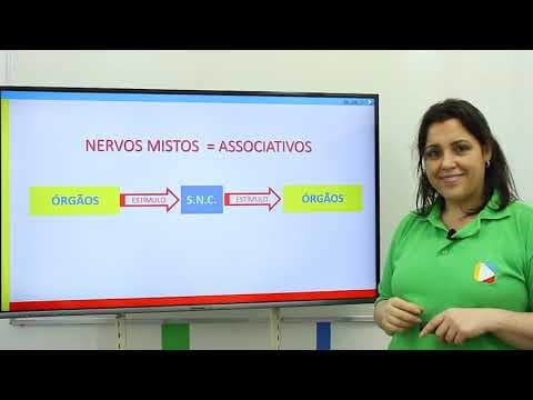 Thumbnail da aula: Biologia - Sistema Nervoso Periférico