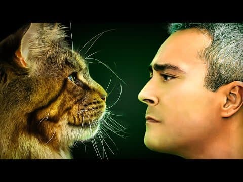 Thumbnail da aula: Como surgiram os GATOS?
