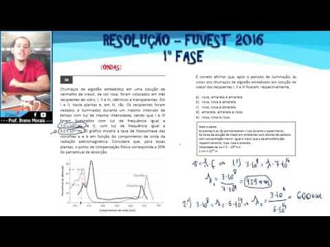Thumbnail da aula: ONDAS E FOTOSSÍNTESE | FUVEST 2016 | q.34