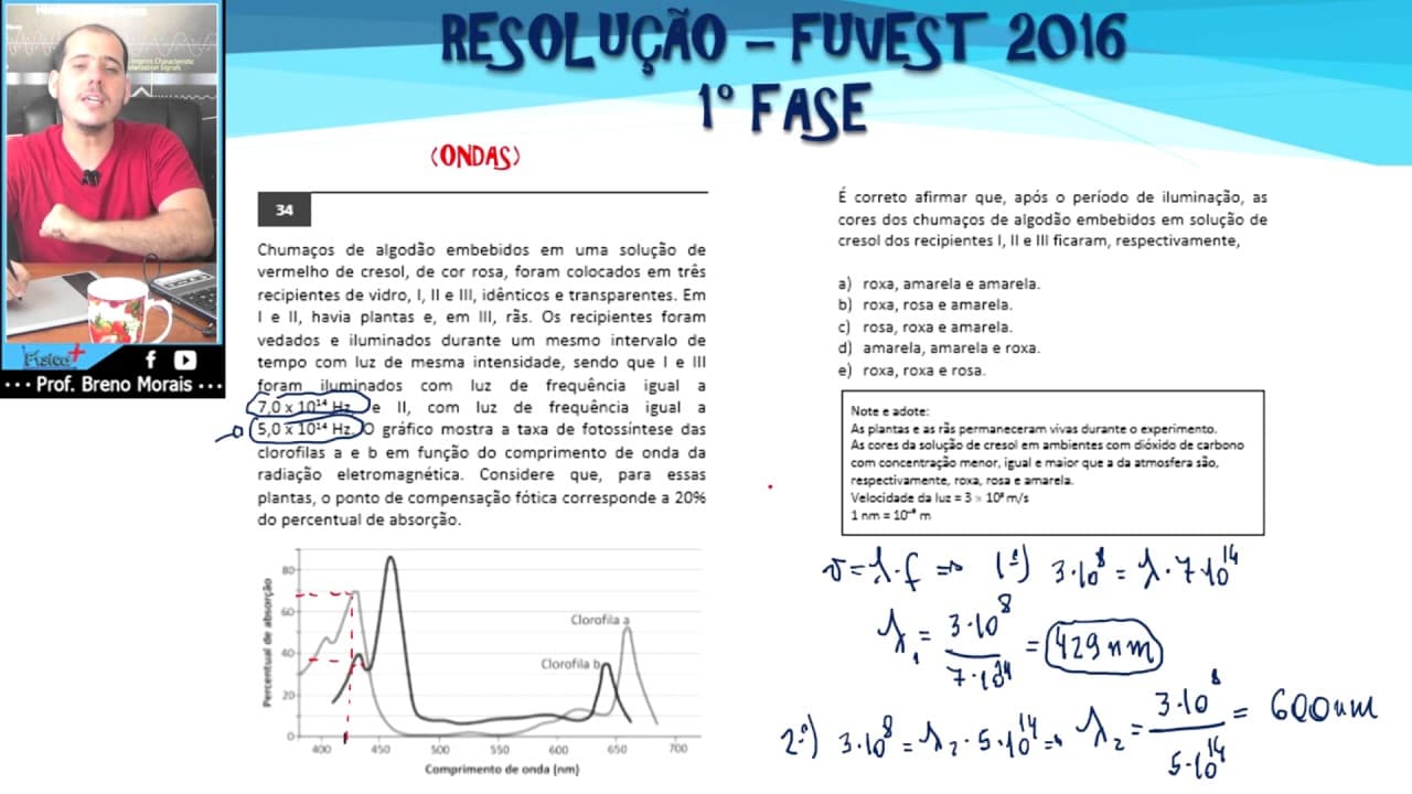 Thumbnail: ONDAS E FOTOSSÍNTESE | FUVEST 2016 | q.34