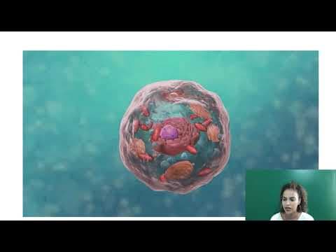 Thumbnail da aula: Questão do ENEM sobre mitocôndria e DNP