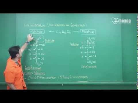 Thumbnail da aula: Química dos Carboidratos | Química Orgânica