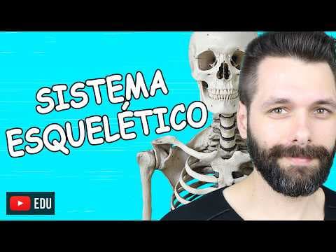 Thumbnail da aula: INTRODUÇÃO AO SISTEMA ESQUELÉTICO - ÓSSEO -  | Biologia com Samuel Cunha