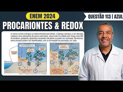Thumbnail da aula: ENEM 2024_Q.113_AZUL_Metabolismo de procariontes. O esquema representa a ação de organismos nociclo