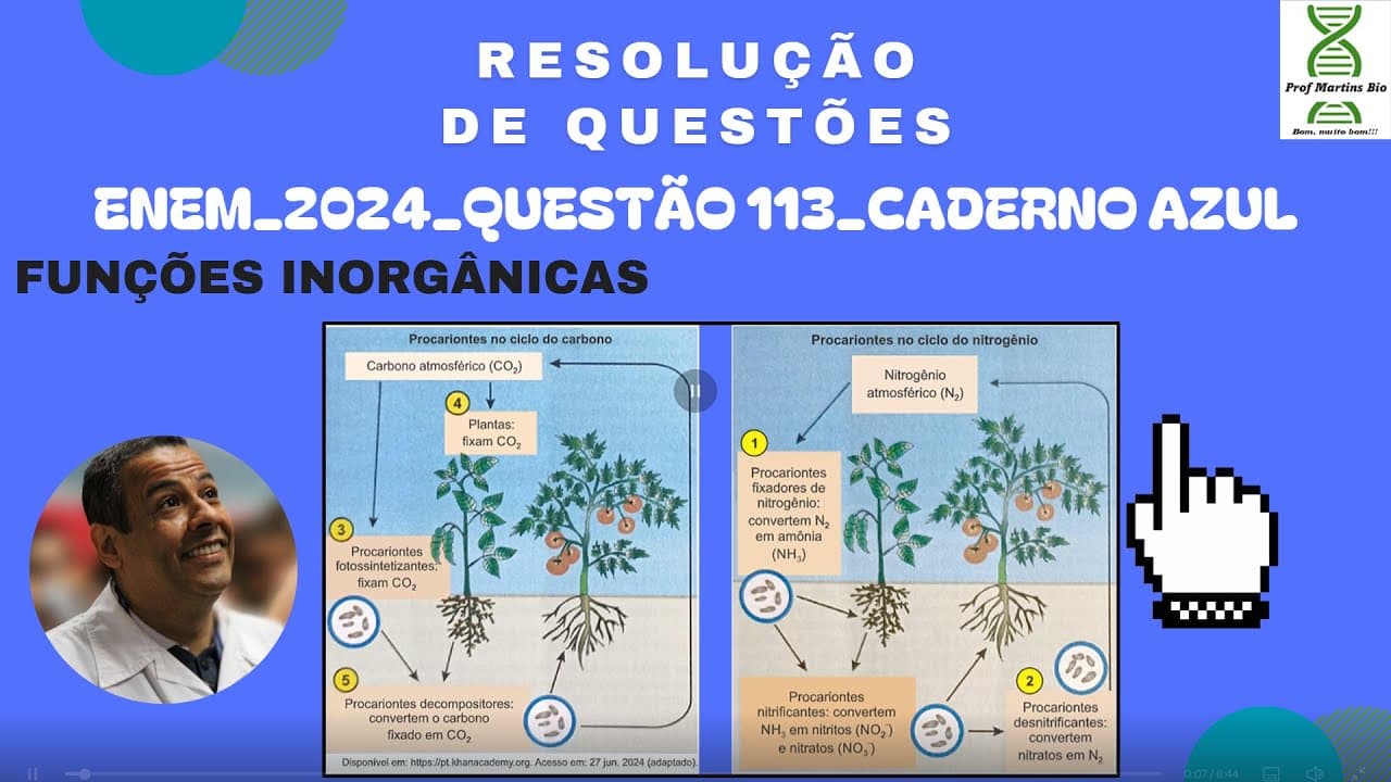 Thumbnail: ENEM 2024_Q.113_AZUL_Metabolismo de procariontes. O esquema representa a ação de organismos nociclo