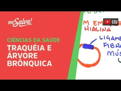 Thumbnail da aula: Me Salva! SRES04 - Traquéia e Árvore Brônquica - Histologia Humana