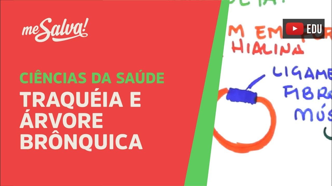 Thumbnail: Me Salva! SRES04 - Traquéia e Árvore Brônquica - Histologia Humana