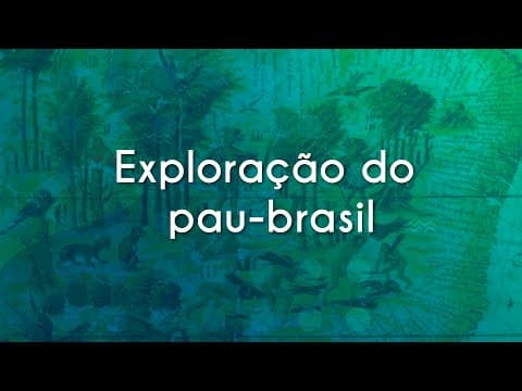 Thumbnail da aula: Exploração do pau-brasil - Brasil Escola